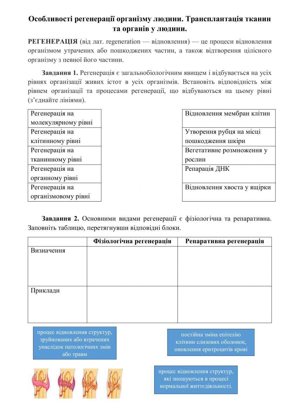Регенерація. Трансплантація