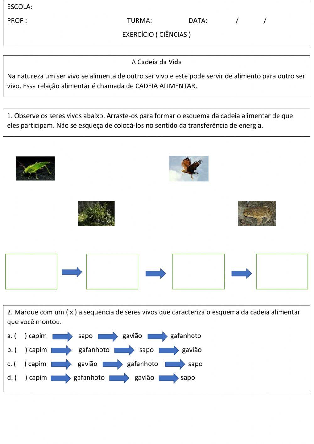 Exercicio cadeia alimentar