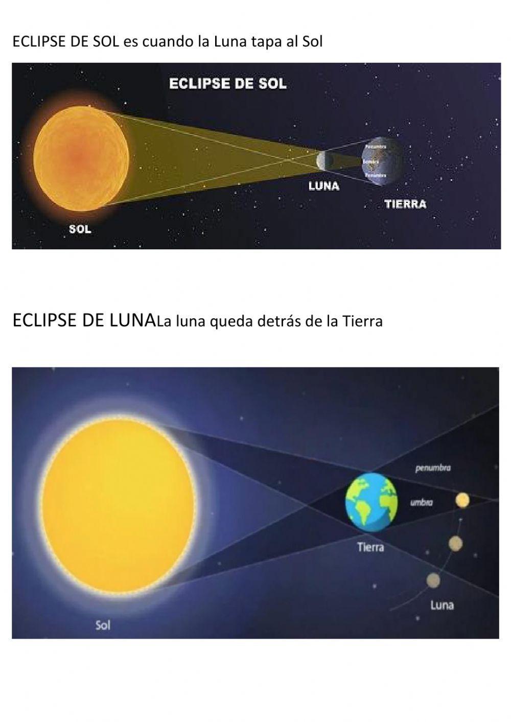 Biologia. tema 1. parte 2.