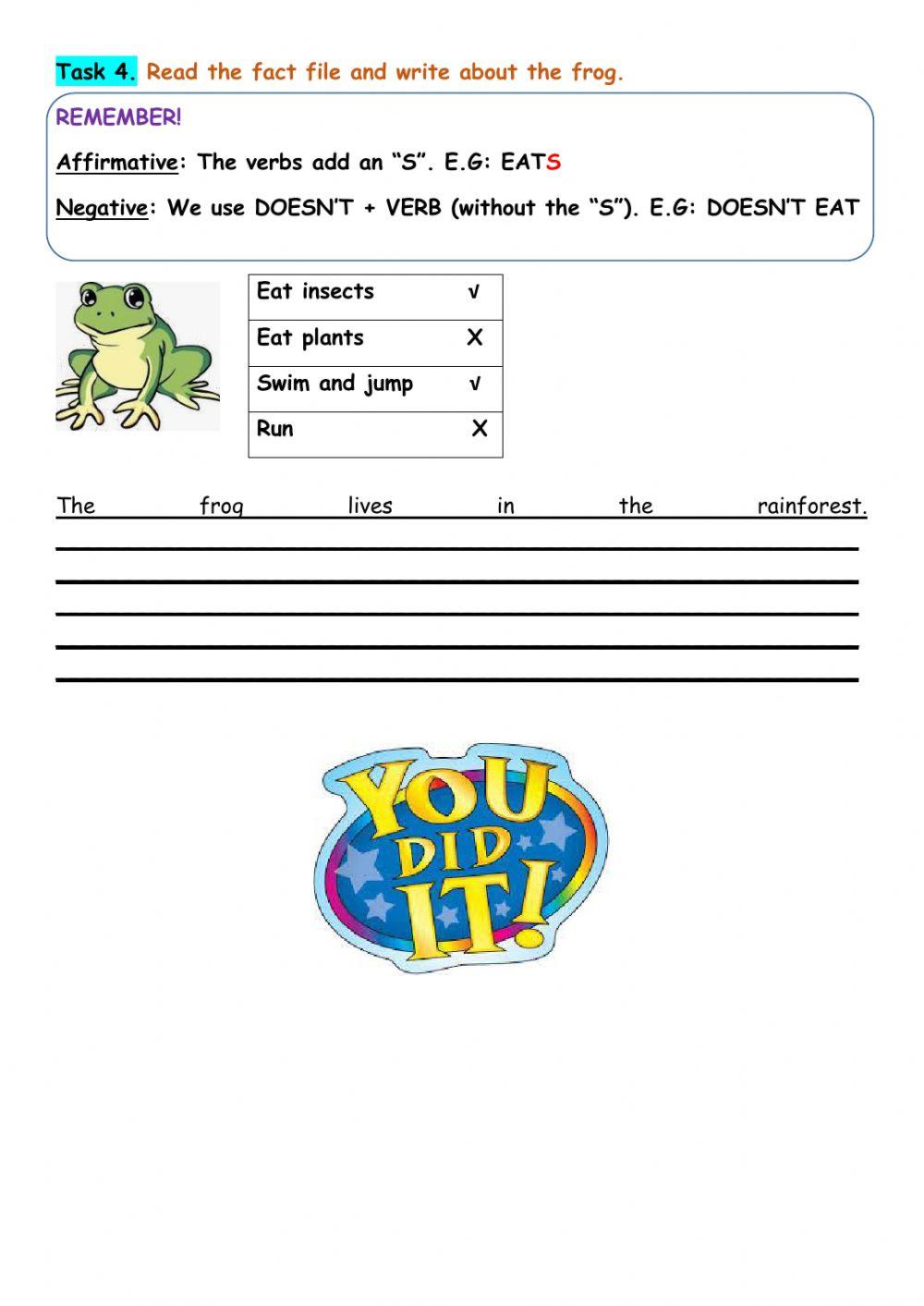 4th Grade - Practical Work Practice
