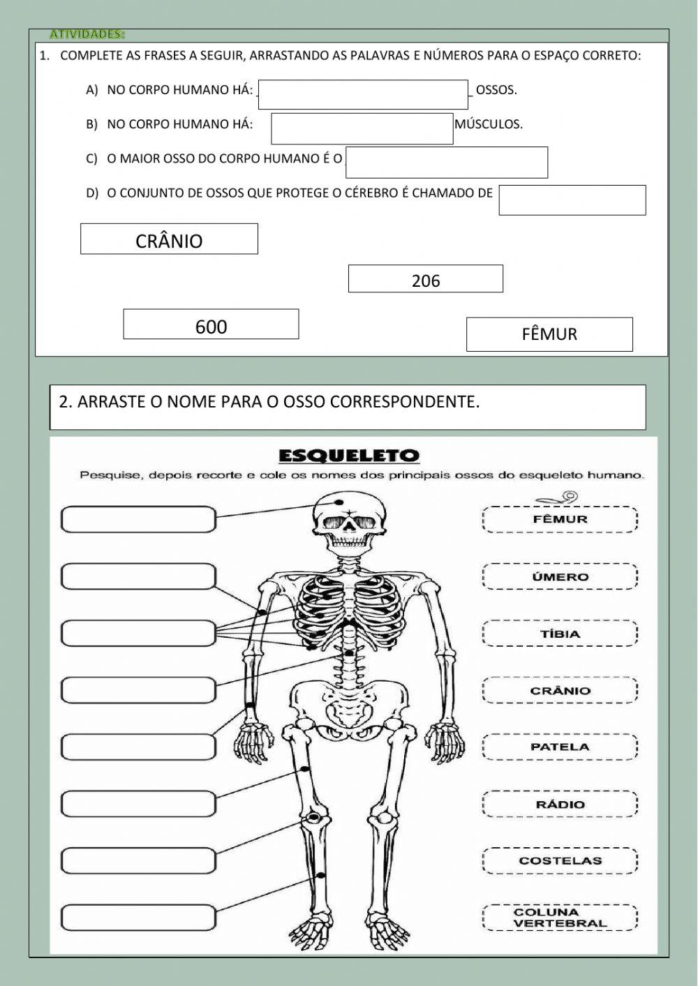Sistema locomotor interativo