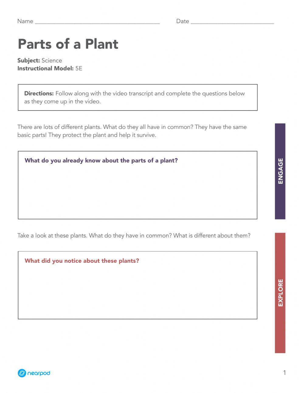 Parts of a plant - Guided Video 