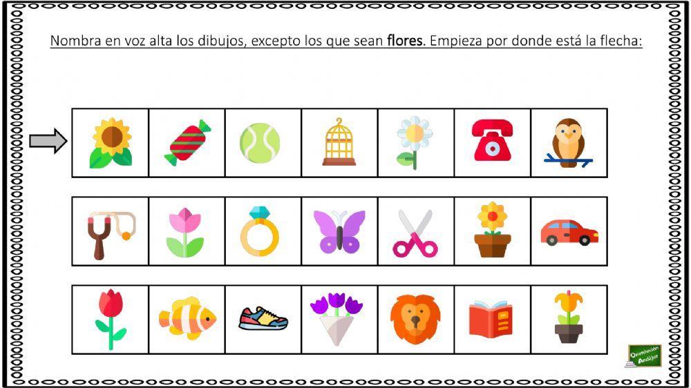 Selecciona las imágenes según la consigna dada.