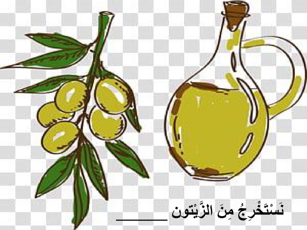 قطف الزيتون