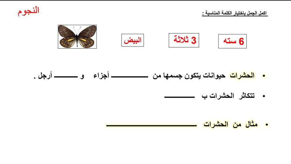 مجموعة الحشرات