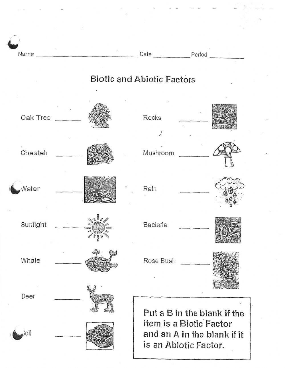Abiotic or Biotic