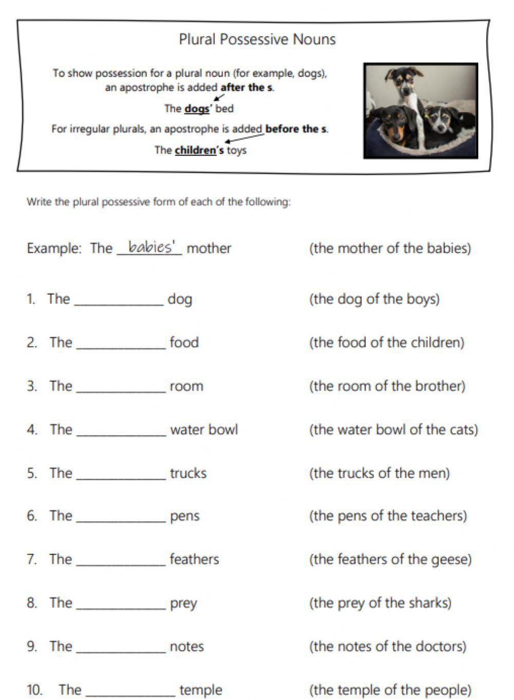 Plural Noun Possessives worksheet Live Worksheets