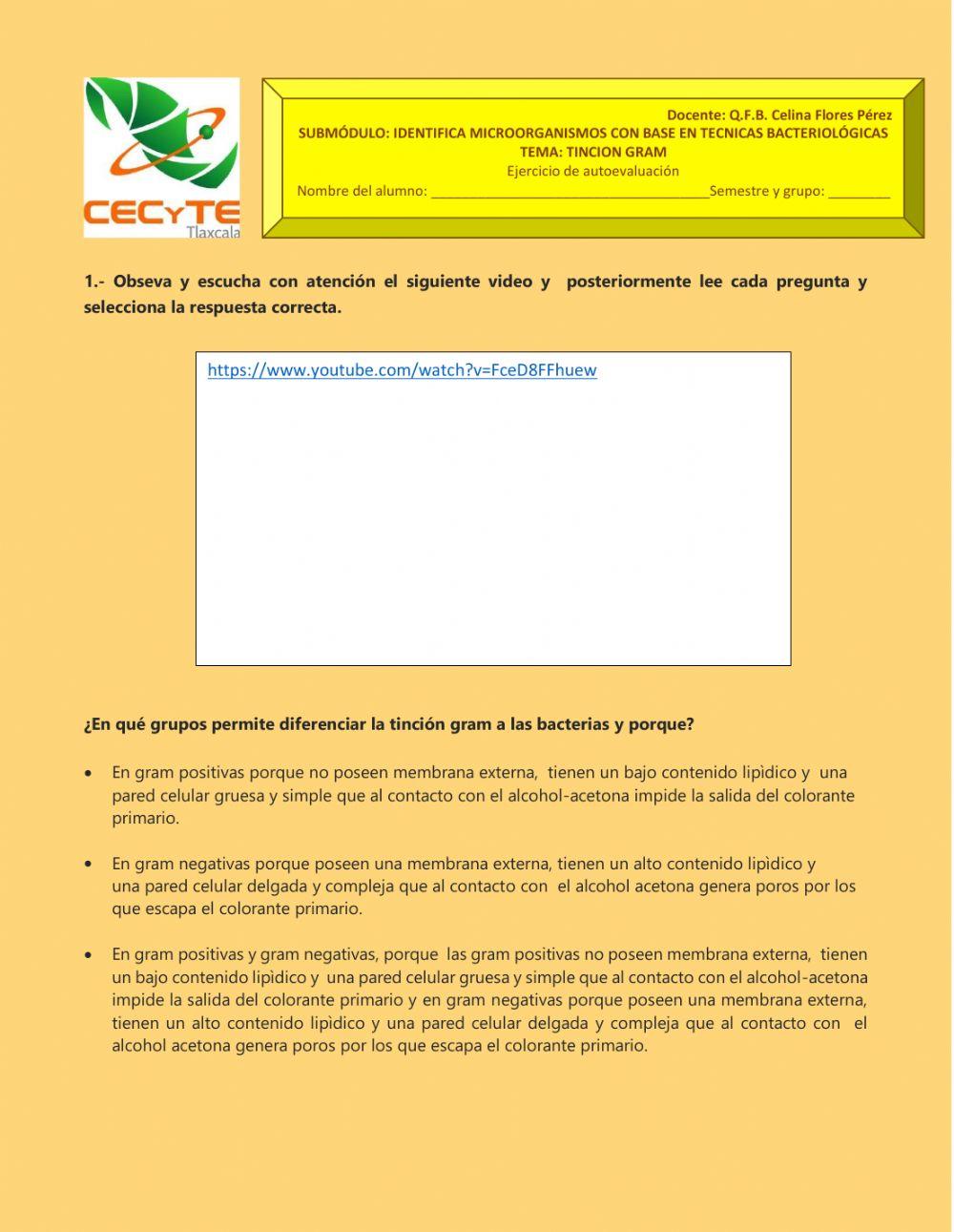 Tinción gram ..