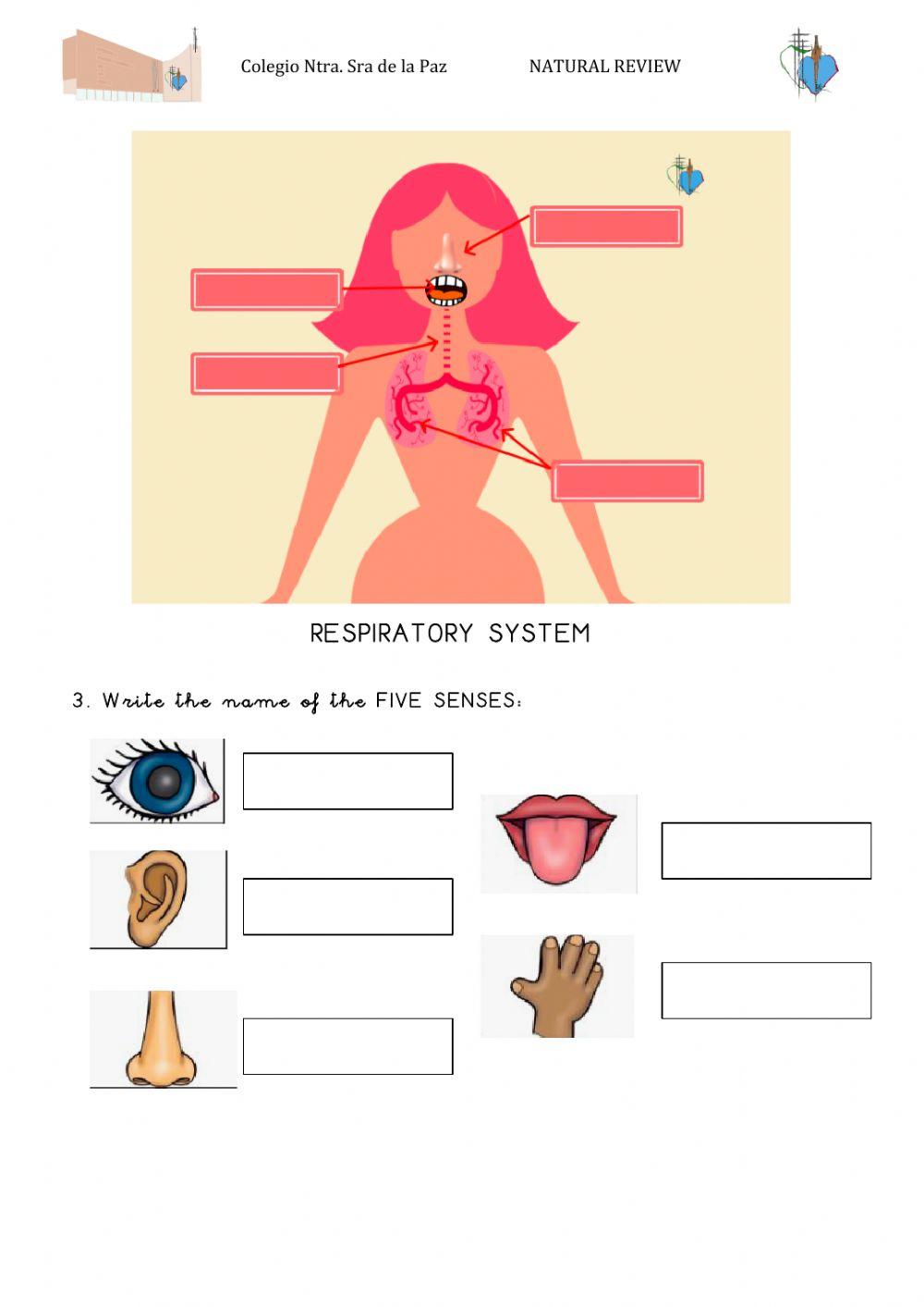 Natural review part 1 term1