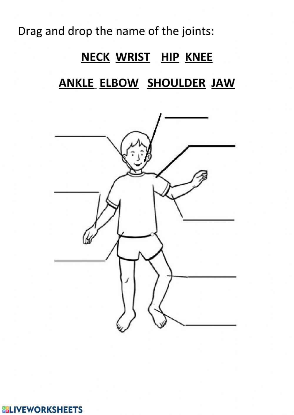 Joint Worksheet