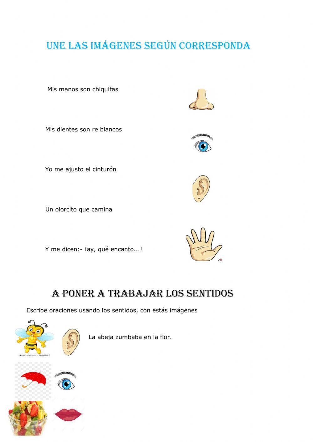Imagenes sensoriales
