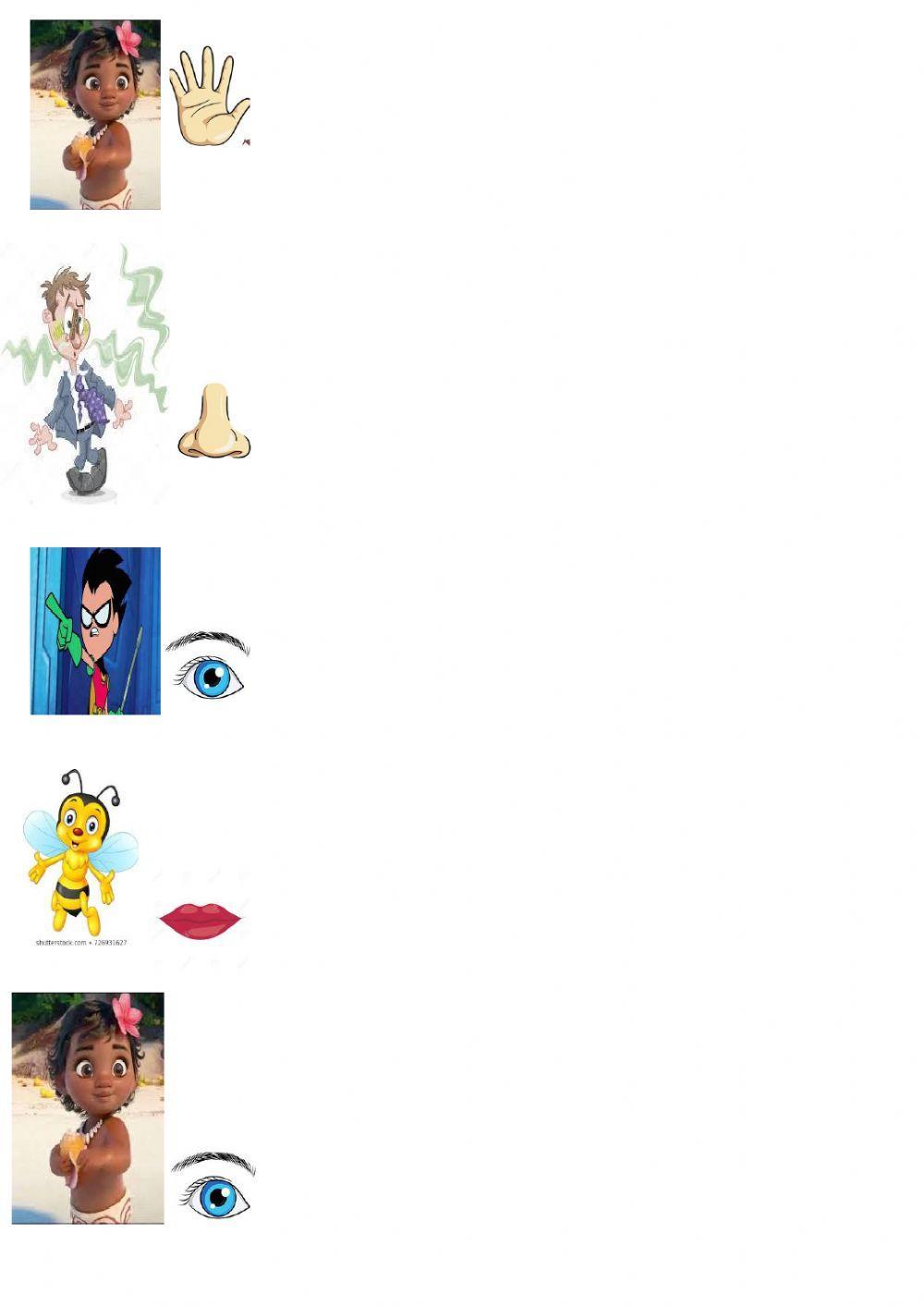 Imagenes sensoriales