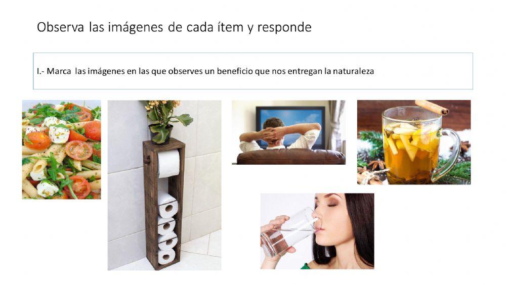 Cuidado al medio ambiente