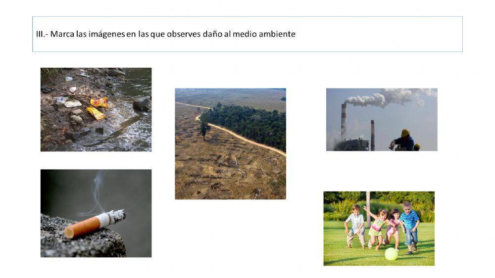 Cuidado al medio ambiente