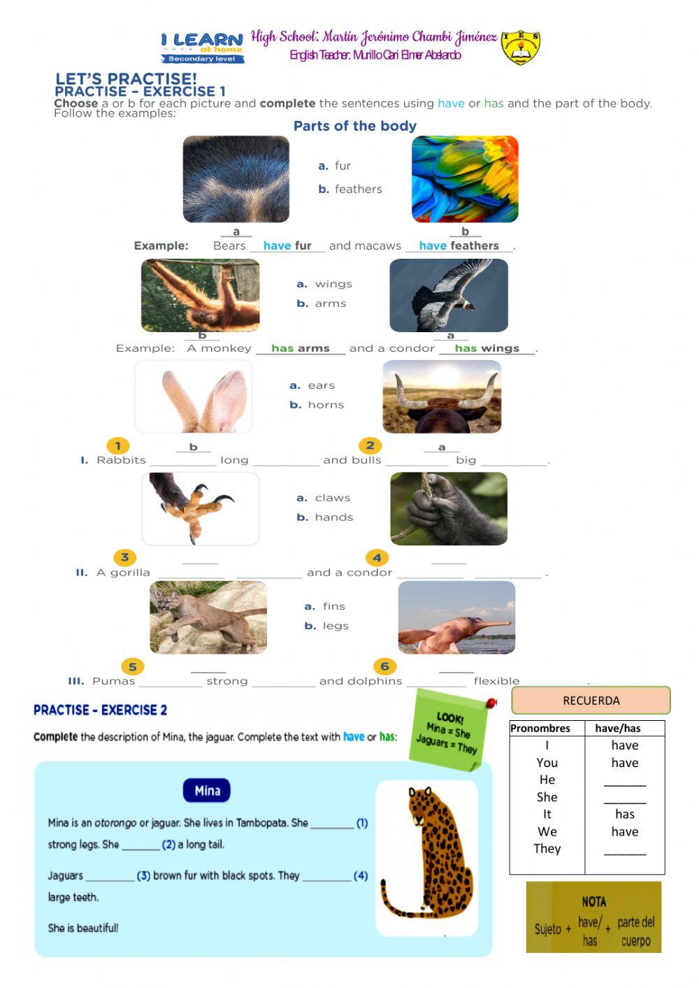 Let’s help endangered animals