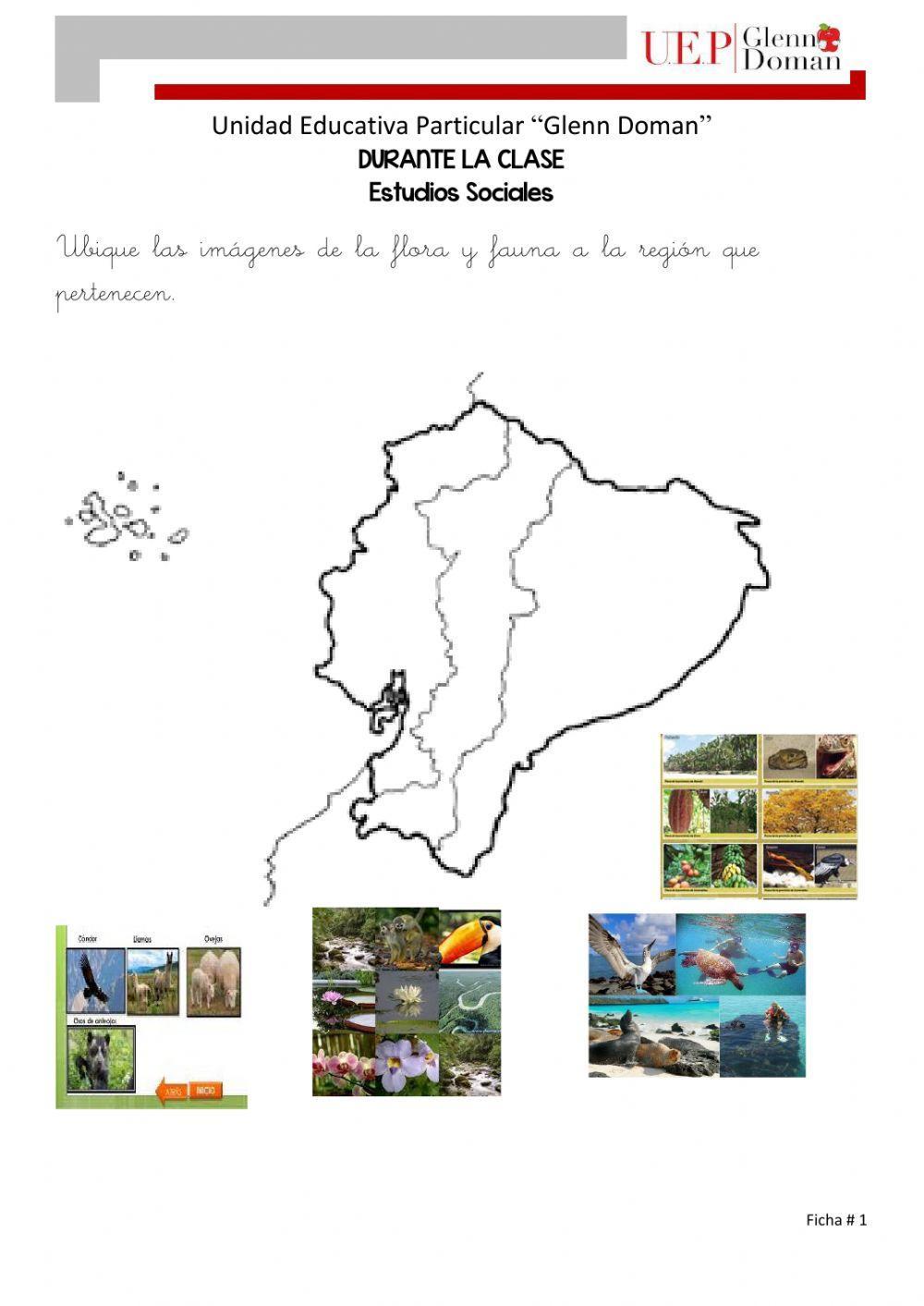 Biodiversidad del Ecuador