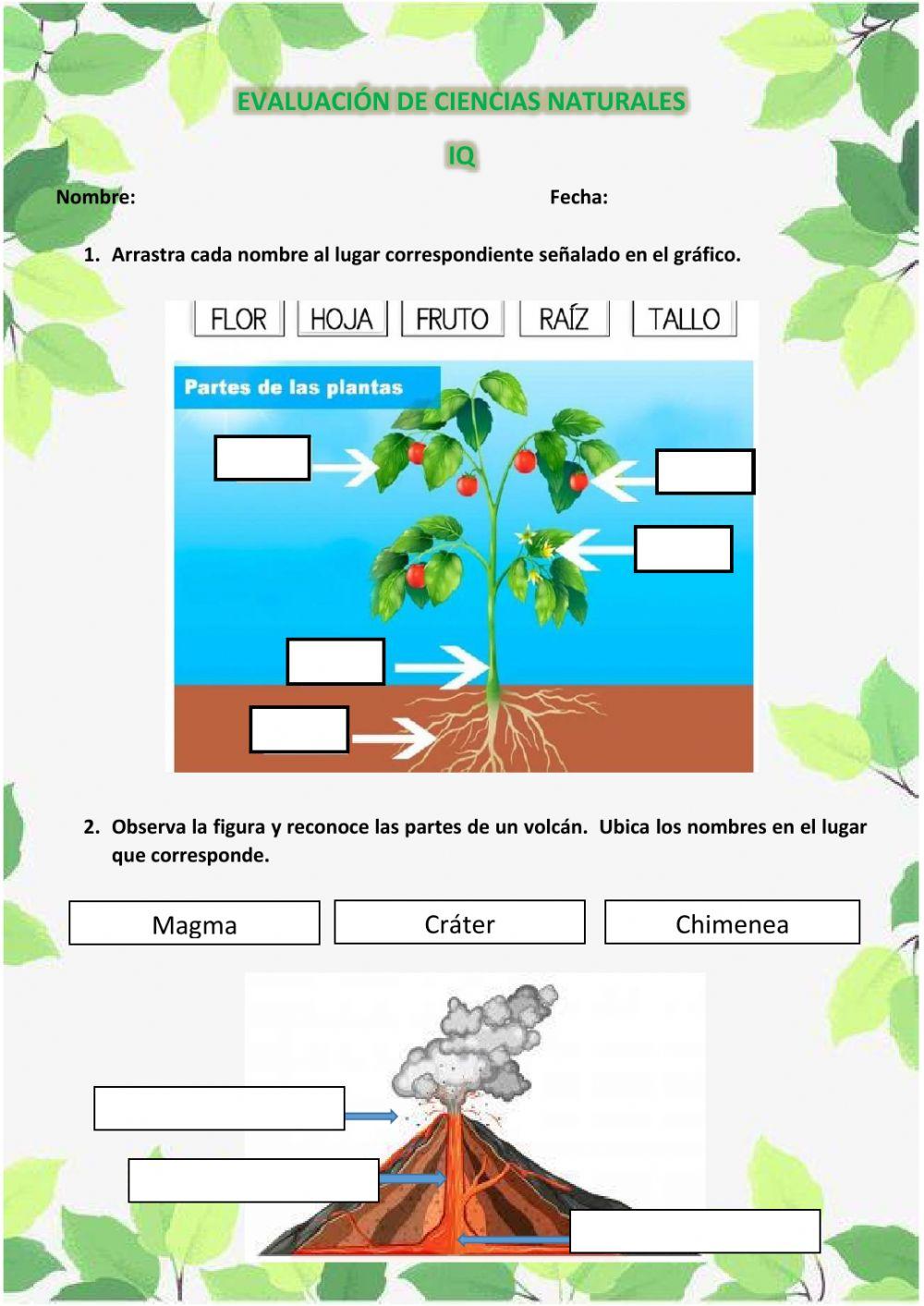 Evaluación de Ciencias Naturales