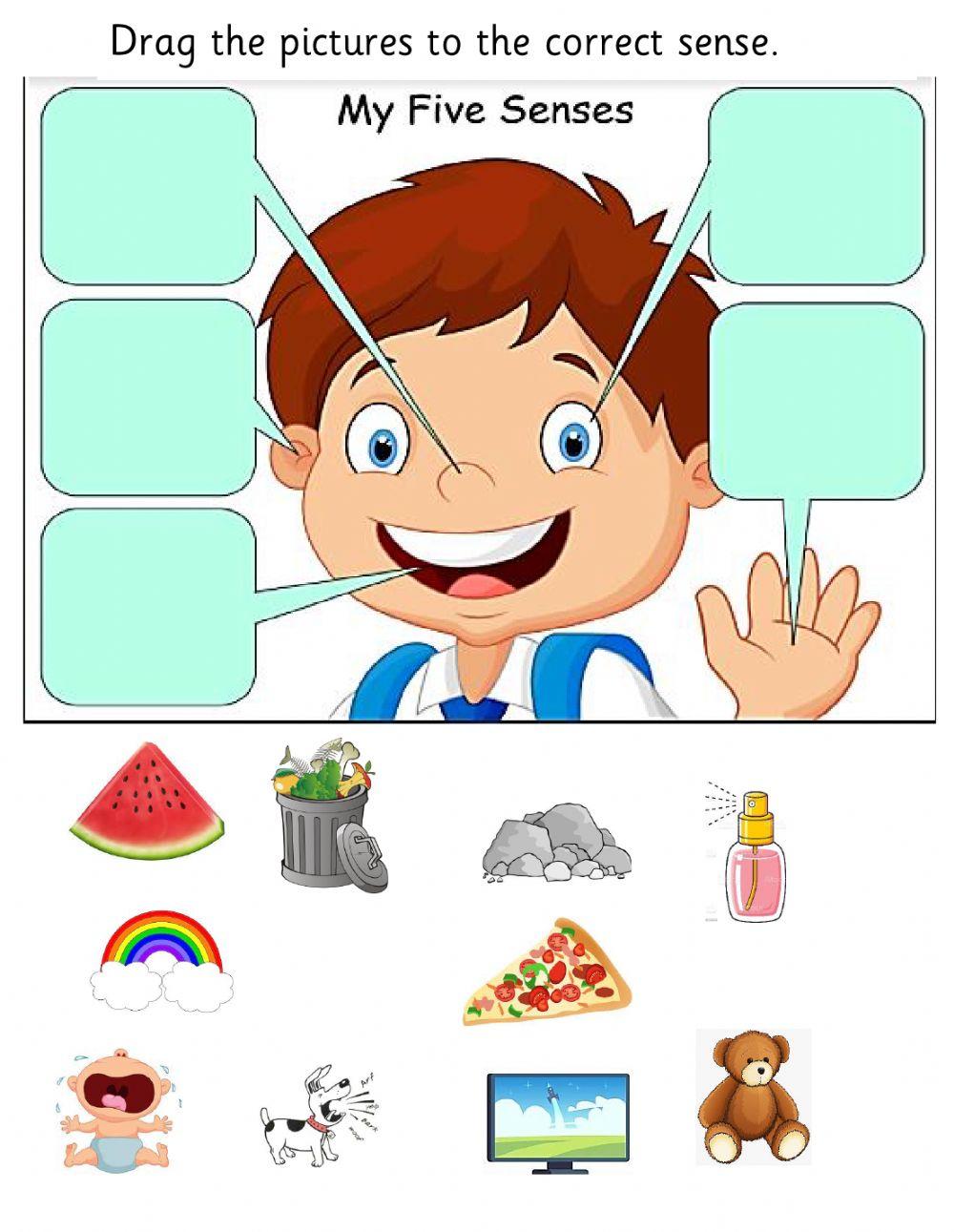 Infant year one weekly review