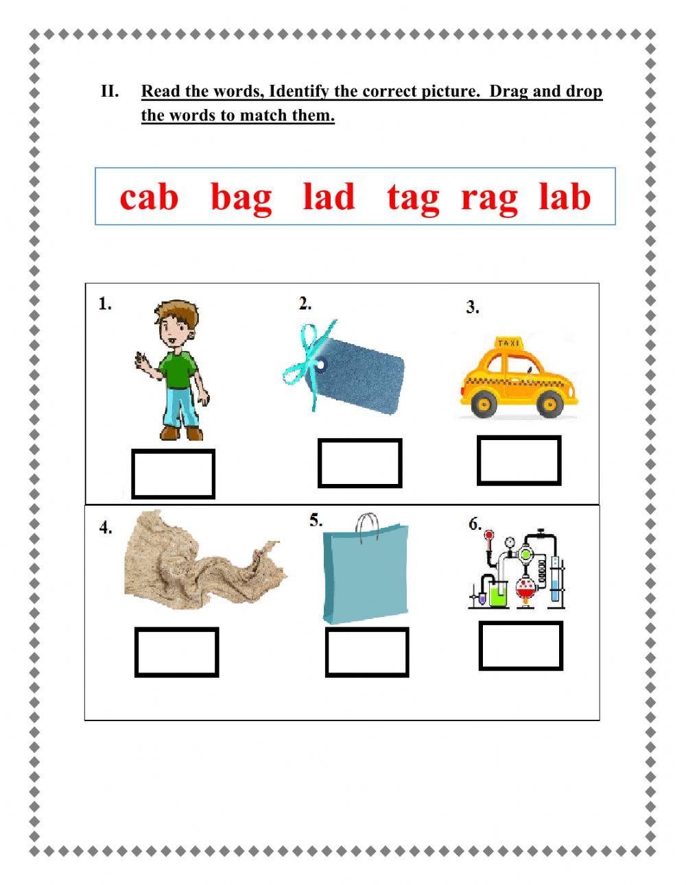 Sight words and CVC Words