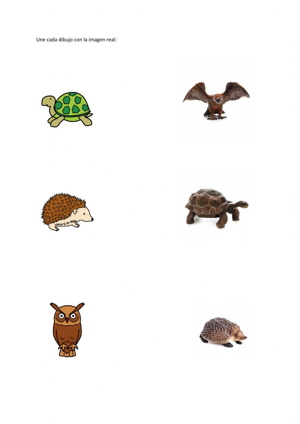 Hasta que podamos abrazarnos