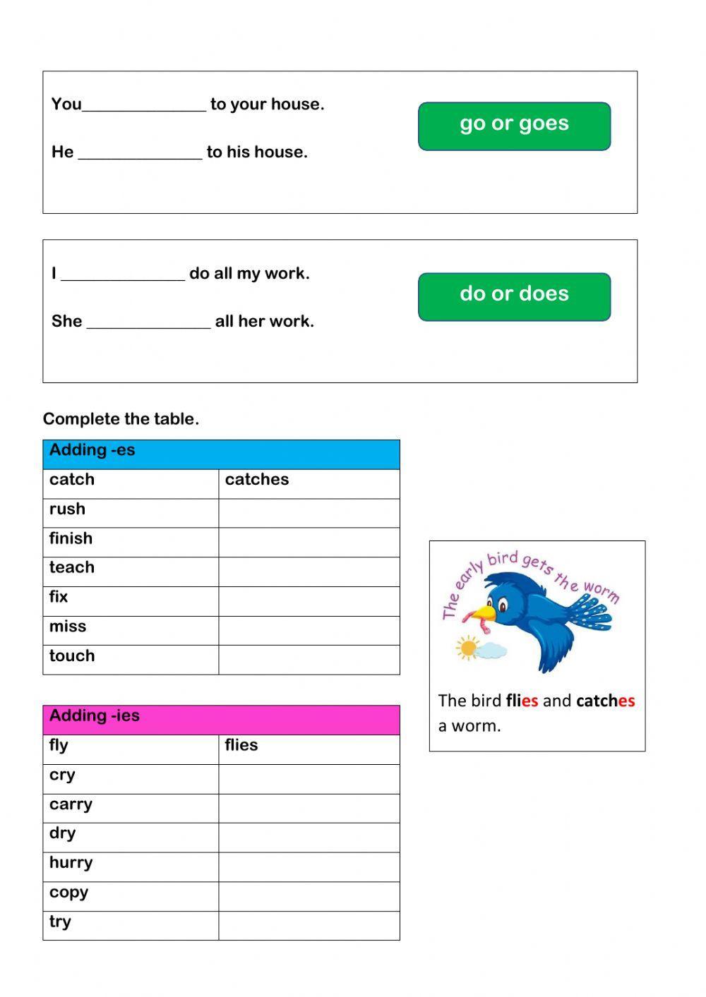 Subject Verb Agreement