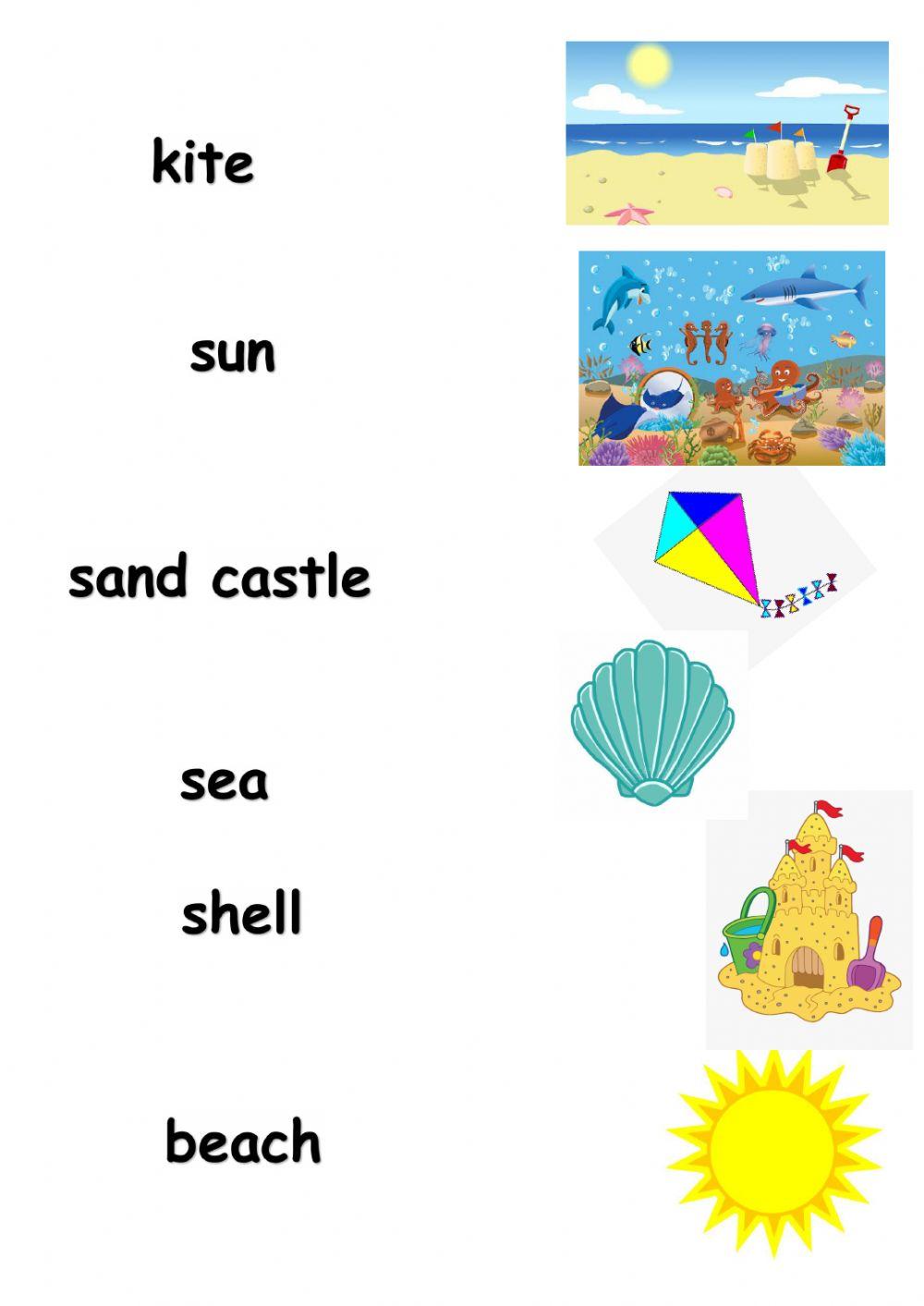 At the beach vocabulary match