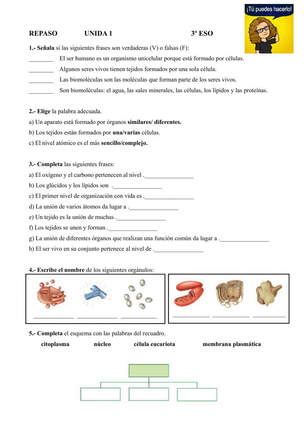 Repaso 3º ESO