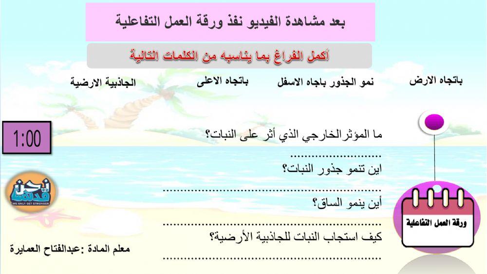 ورقة عمل استجابة النبات