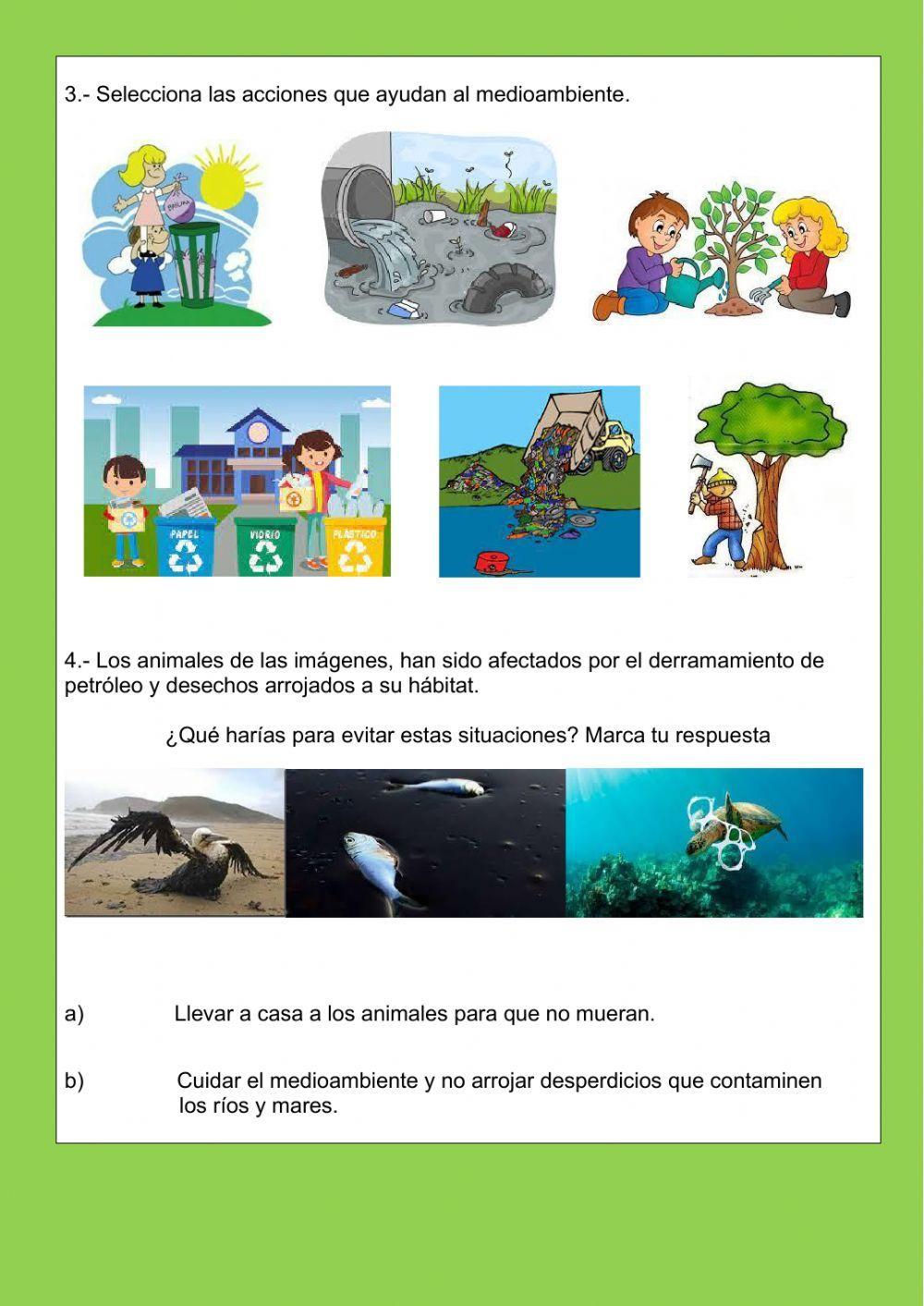 Animales nativos en peligro