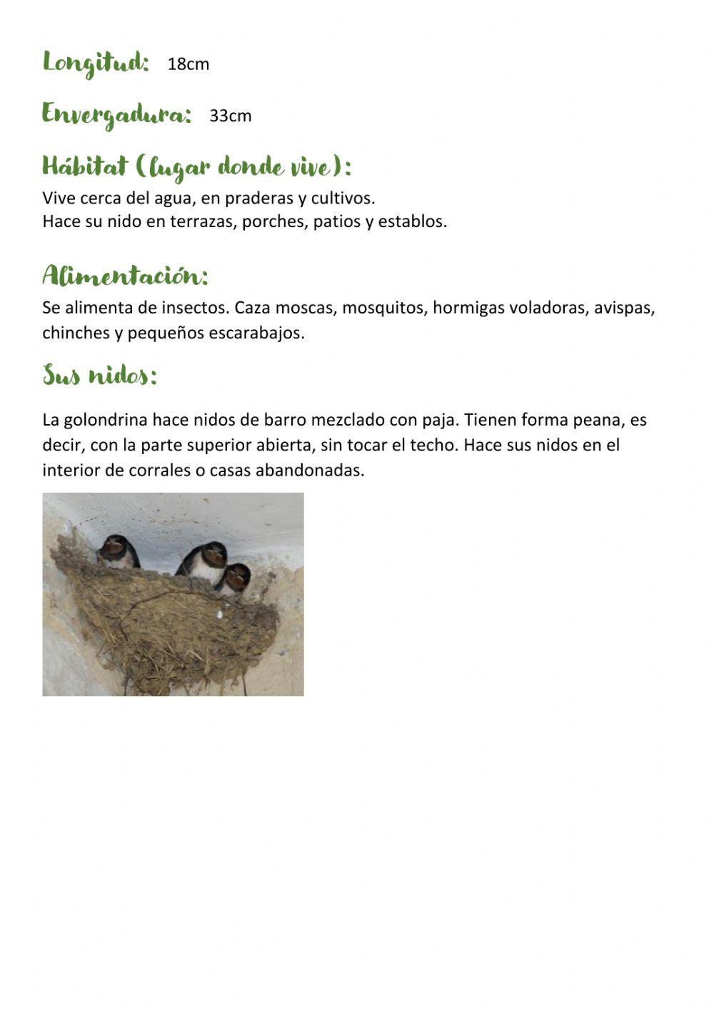 La golondrina texto adaptado