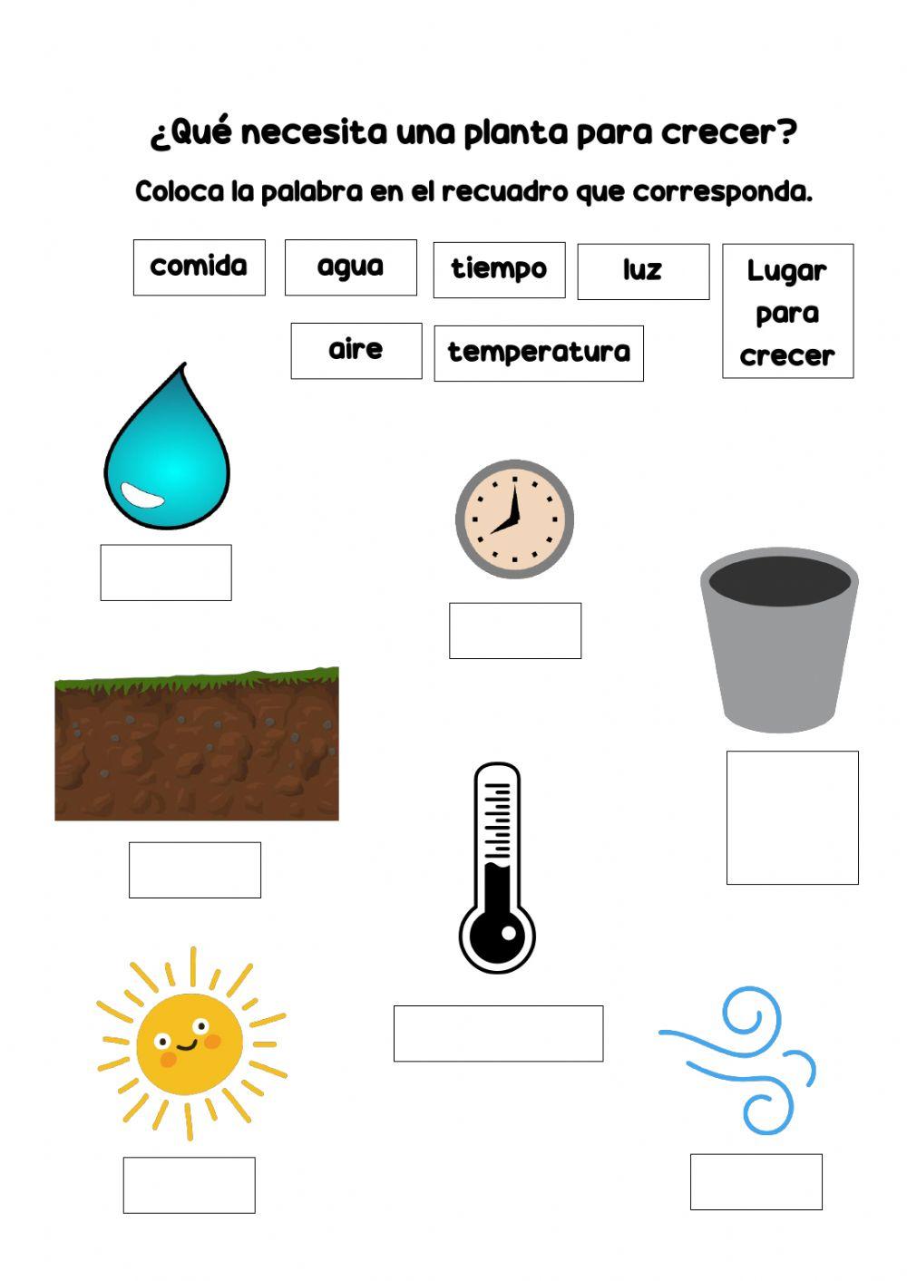 Necesidades de las plantas