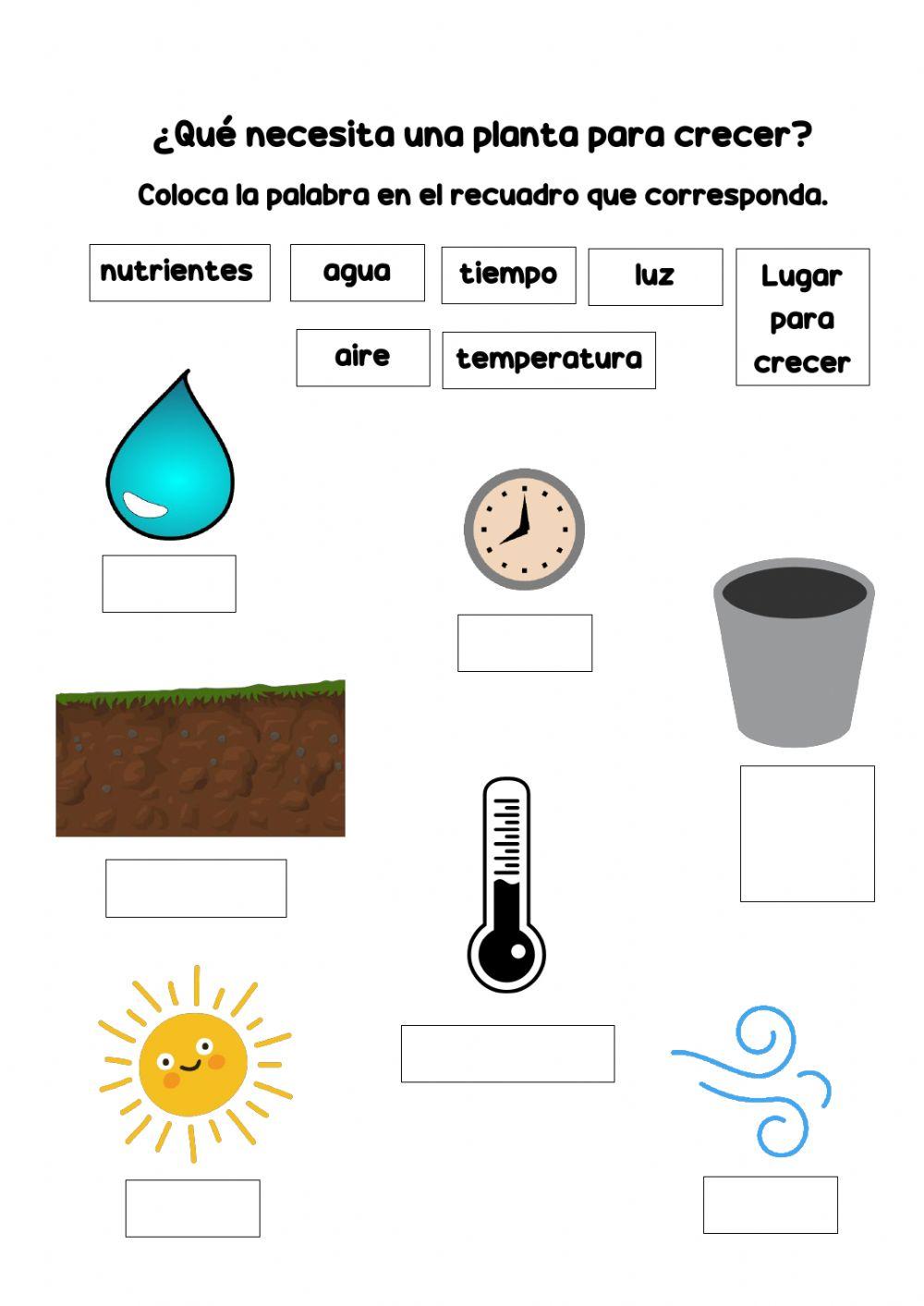 Necesidades de las plantas