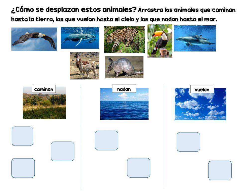 Desplazamiento de los animales
