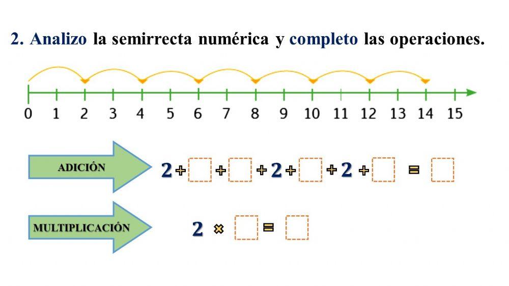 Matemática en acción