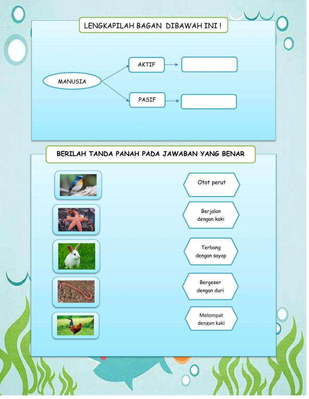 Sistem gerak manusia dan hewan (new)