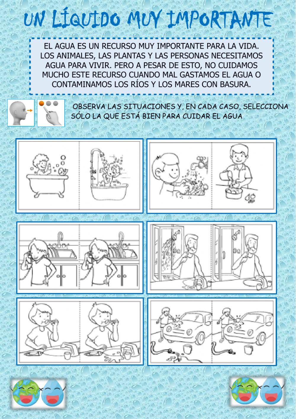 Un líquido muy importante