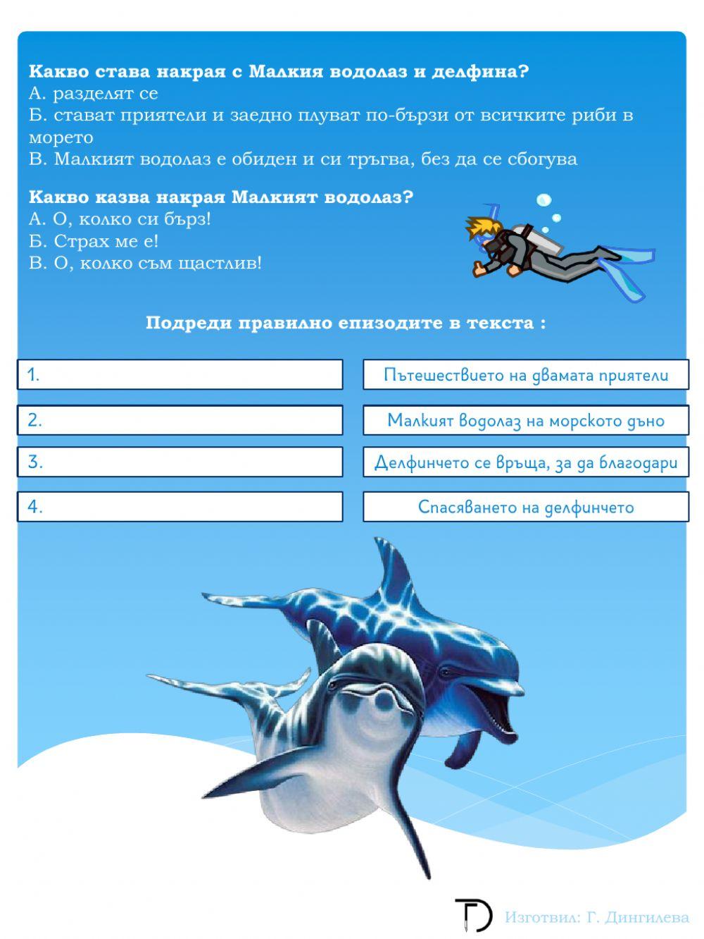 Приятелство с делфин