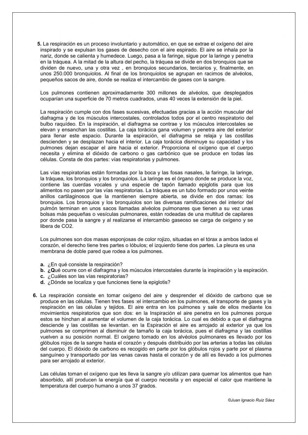 Aparato respiratorio