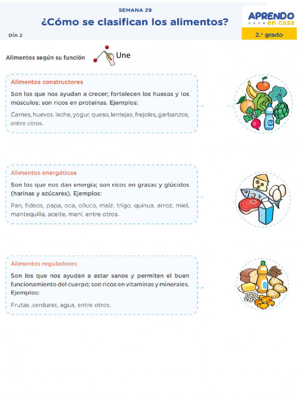 ¿Cómo se clasifican los alimentos?