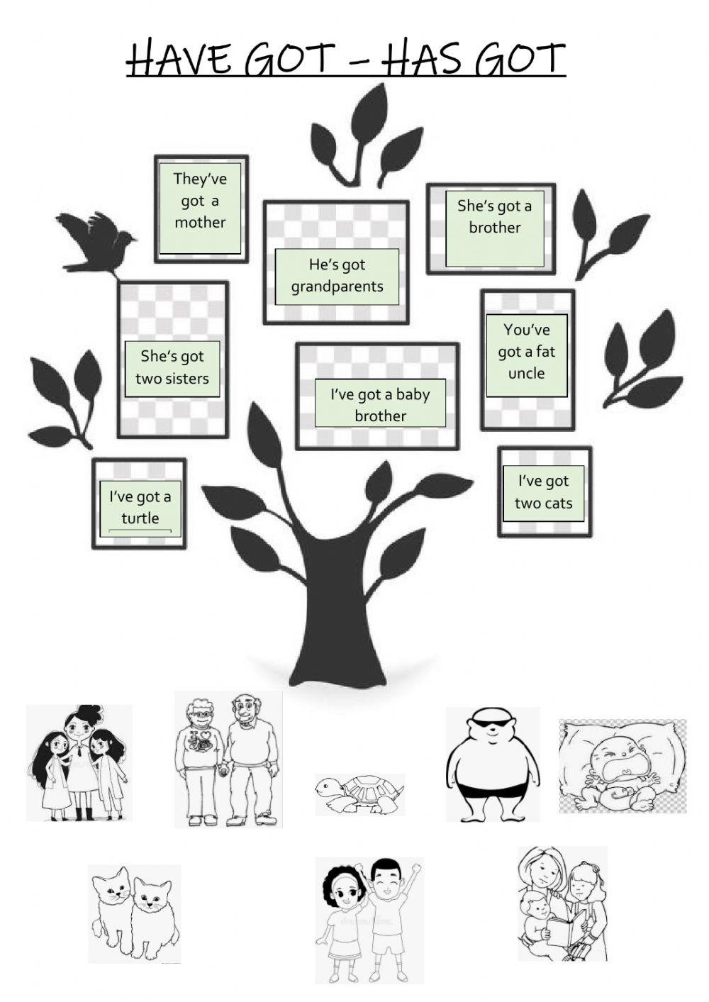 Have got - has got Family Members