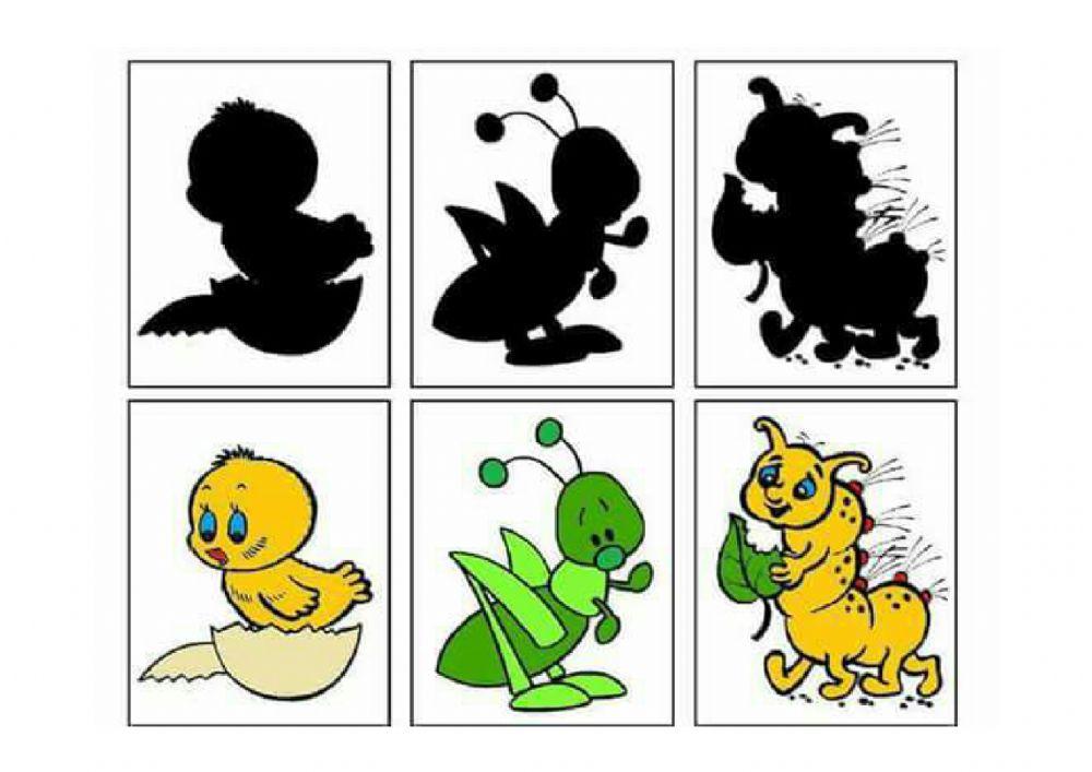 Relacione o desenha a sombra