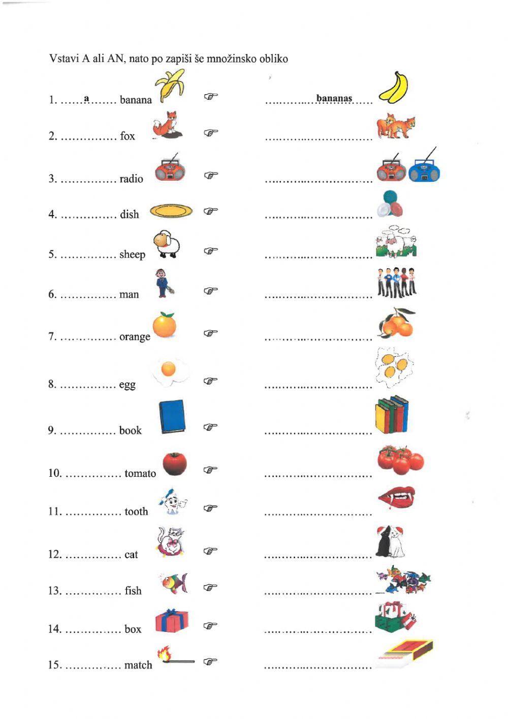 Plurals Plurals
