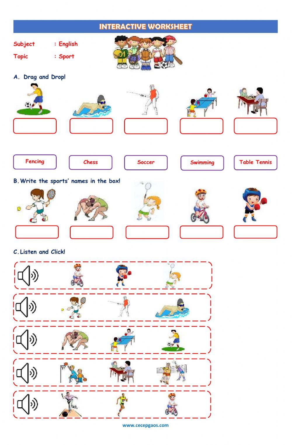 English Interactive Worksheet about Sport