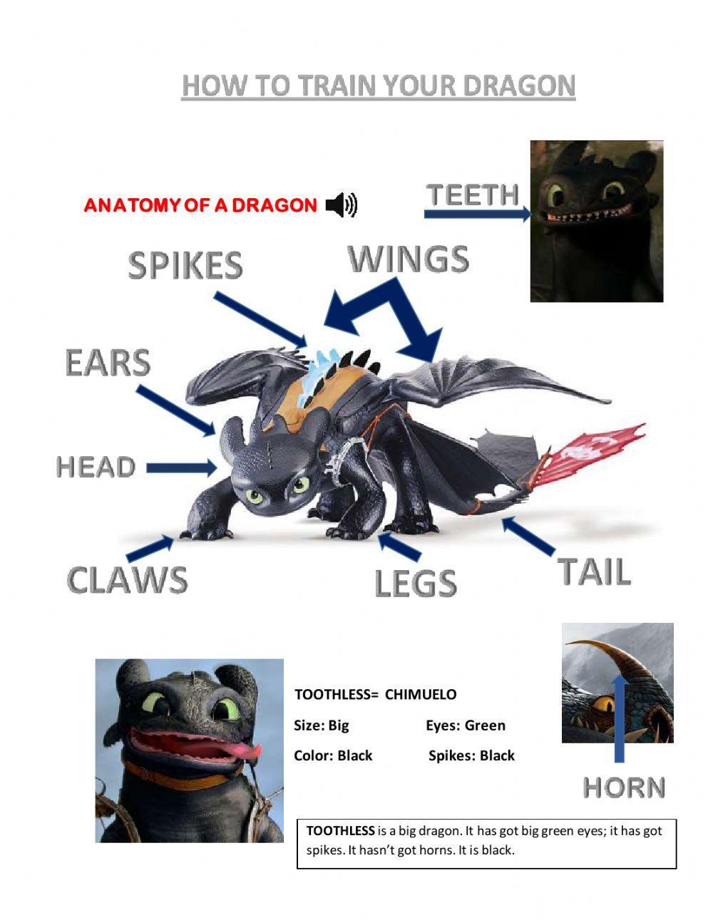 Has got - Description of a dragon