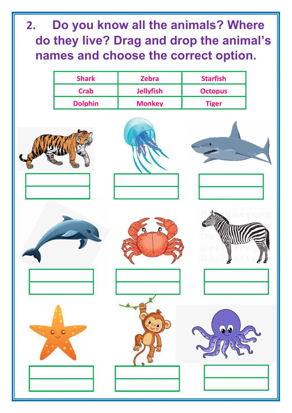 Means of Transportation-Sea animals