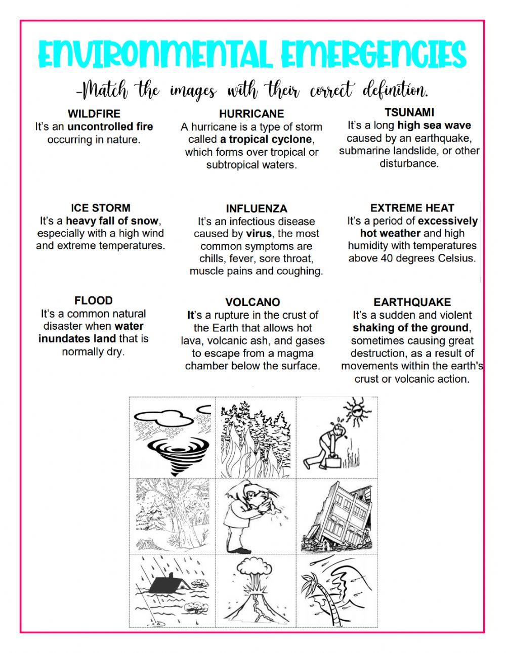 Environmental Emergencies Matching