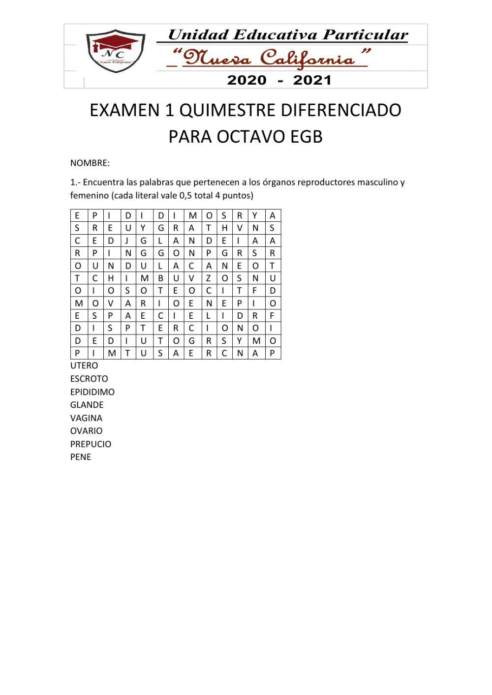 Organos reproductores