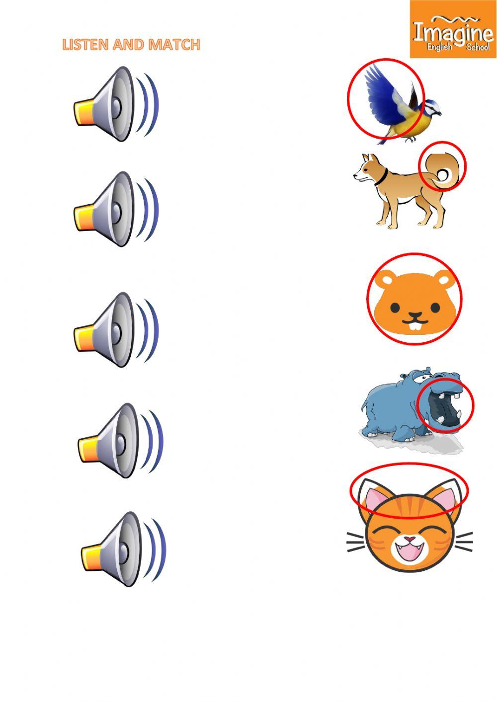 Animals-parts of the body