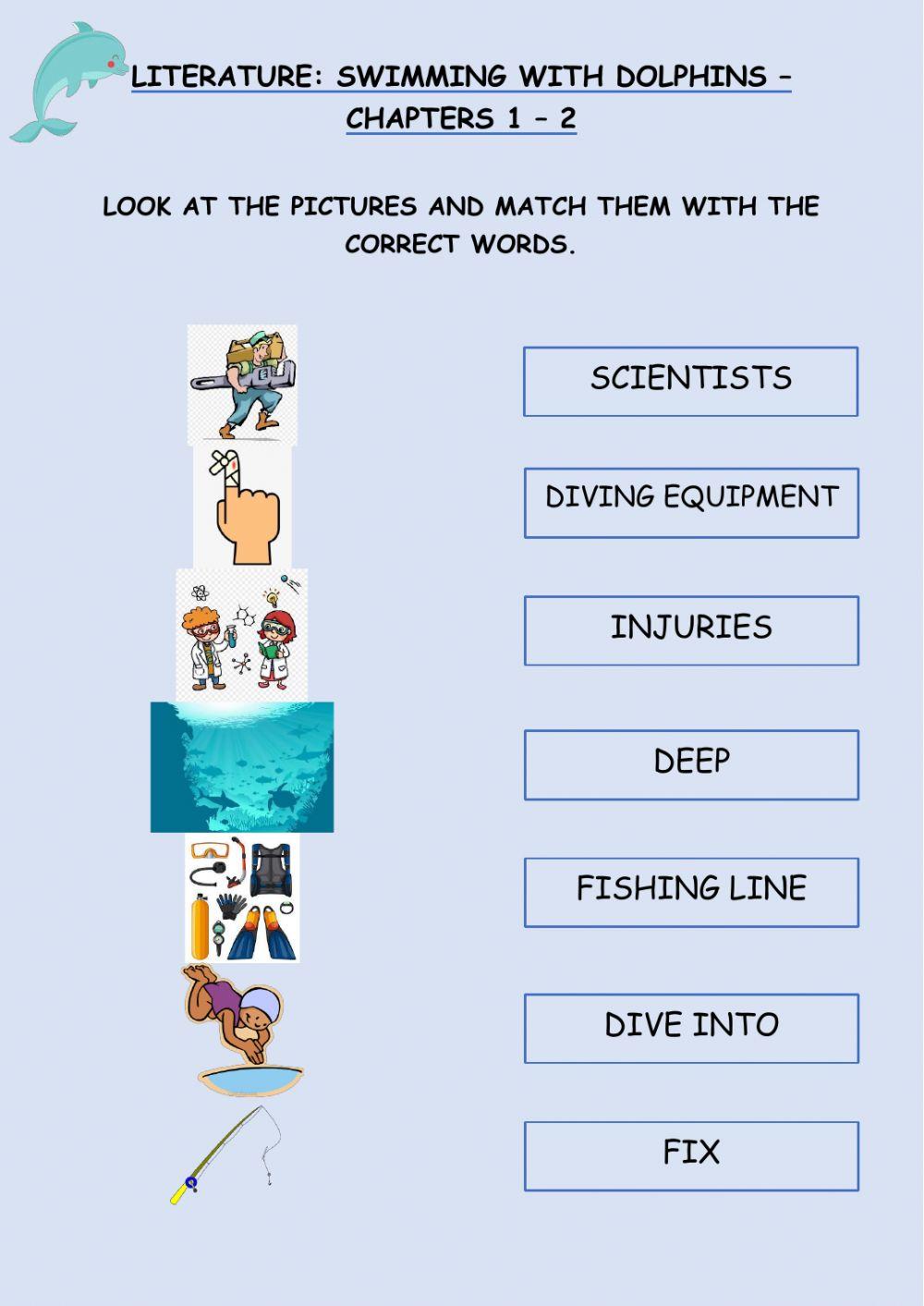 Swimming with Dolphins