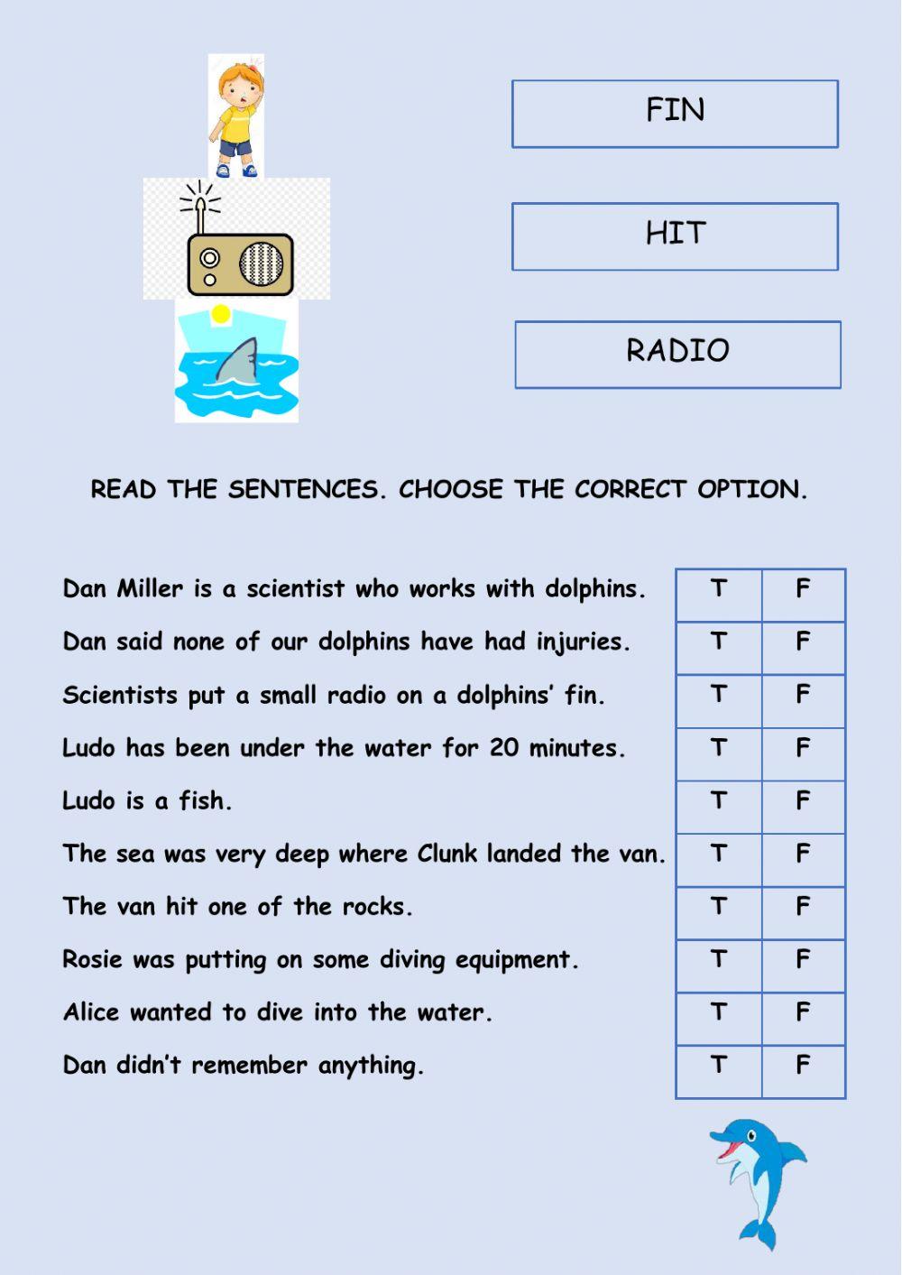 Swimming with Dolphins